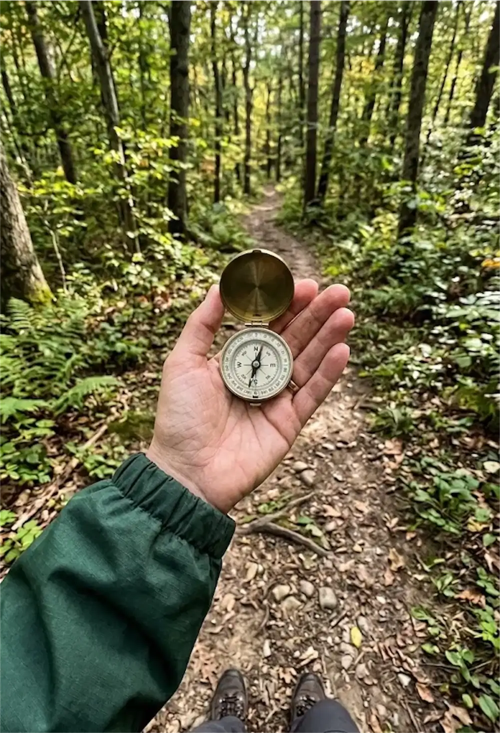 Why I Chose a Narcissist: Therapy Insights on Breaking the Cycle of Toxic Attraction